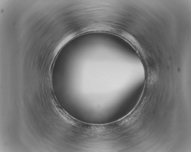 X0000059091242200510211559