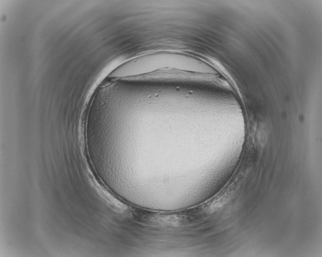 X0000059091243200510211559