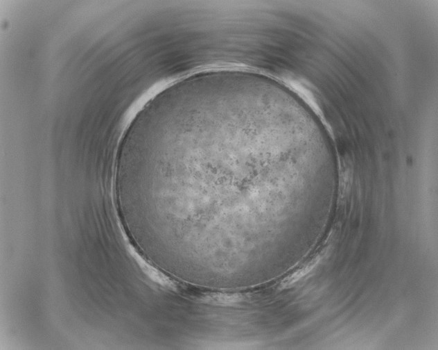 X0000059091245200510211559