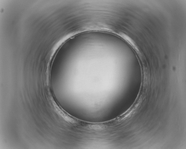 X0000059091246200510211559