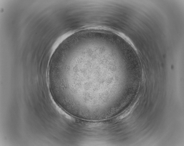 X0000059091247200510211559