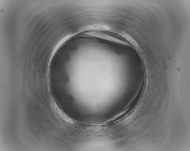 X0000059091248200510211559