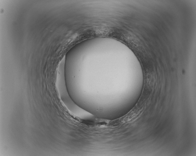 X0000059091249200510211558