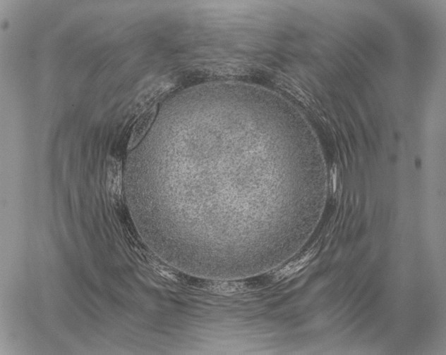 X0000059091251200510211558