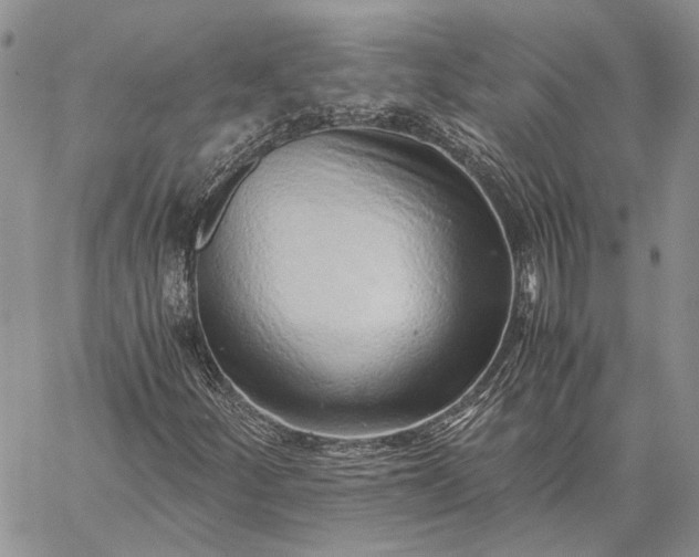 X0000059091252200510211558