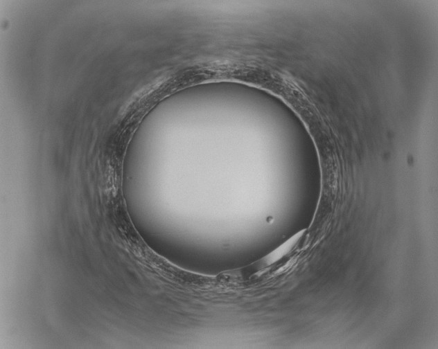 X0000059091253200510211558