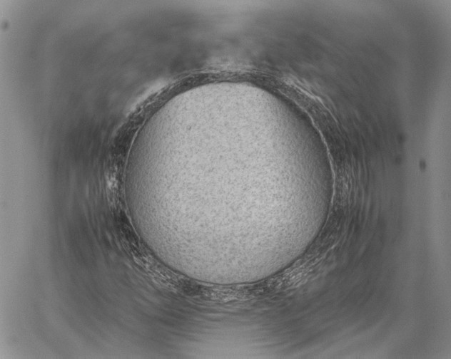 X0000059091254200510211558