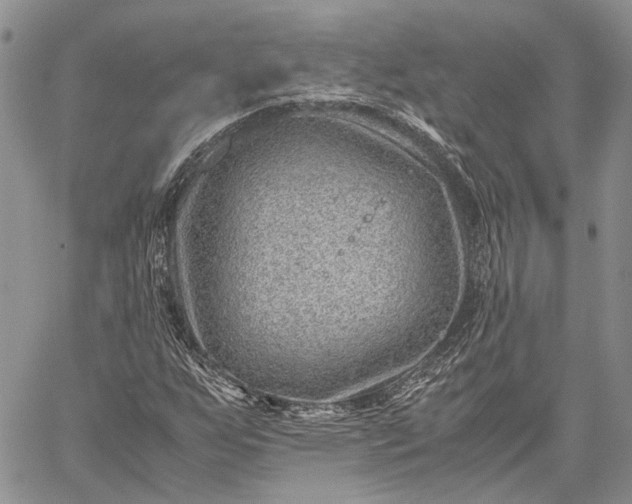 X0000059091255200510211558