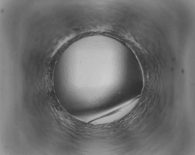 X0000059091256200510211558