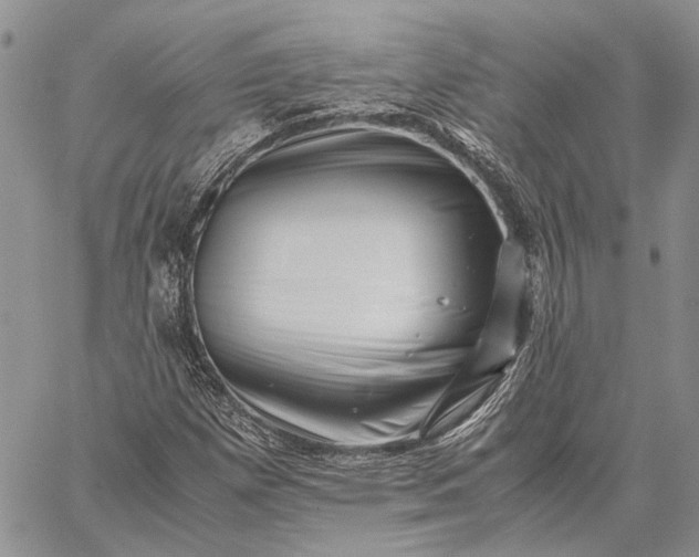 X0000059091257200510211558