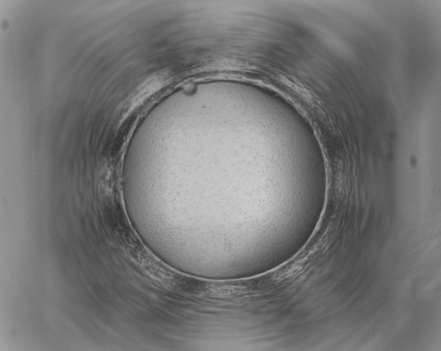 X0000059091258200510211558