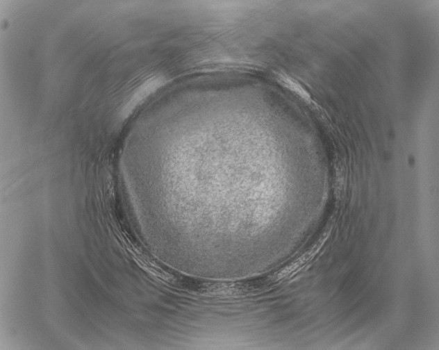 X0000059091259200510211558