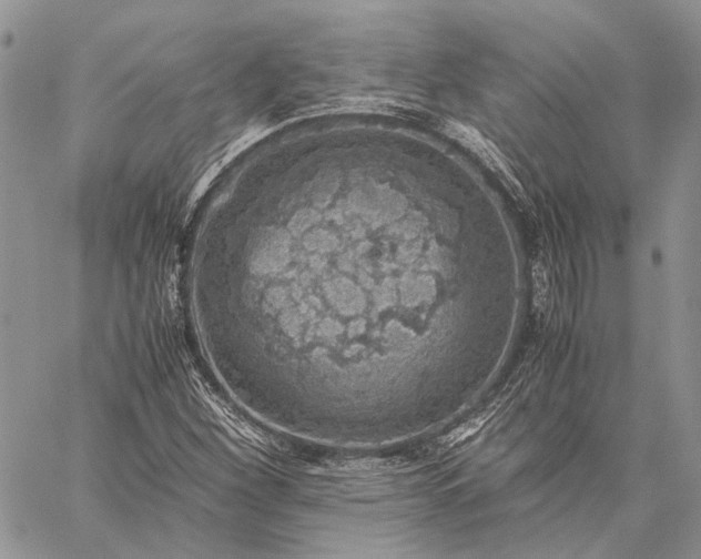 X0000059091260200510211558