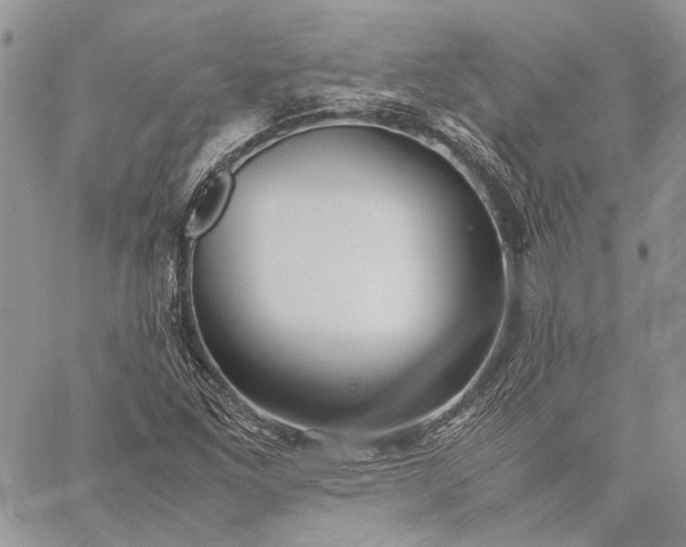 X0000059091261200510211558