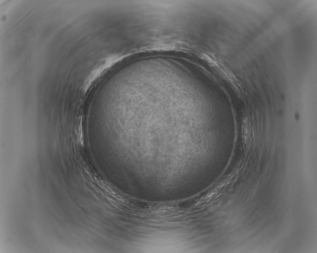 X0000059091262200510211558