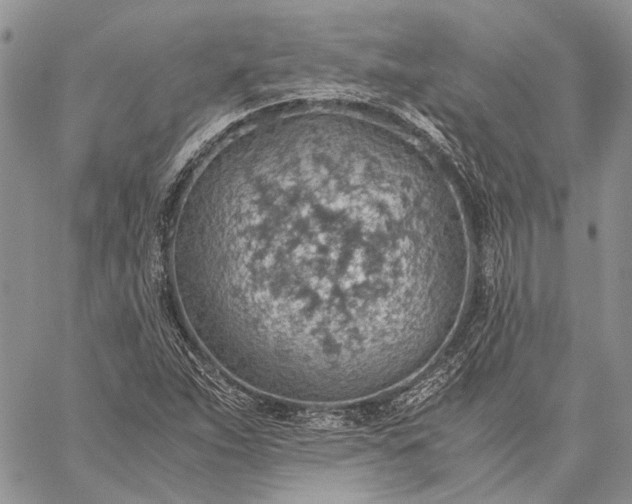 X0000059091263200510211558