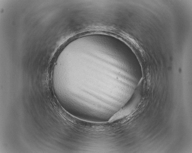 X0000059091264200510211558