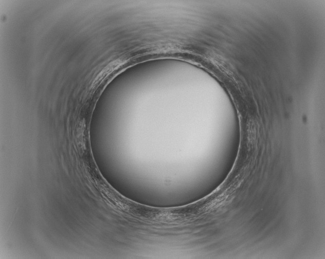 X0000059091265200510211558