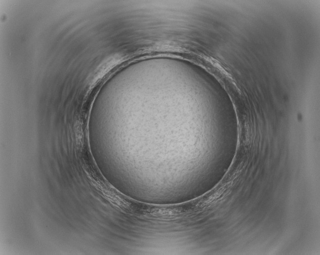 X0000059091266200510211558