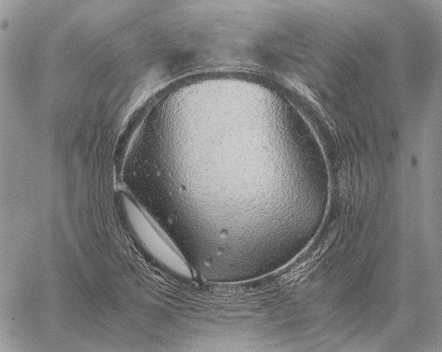 X0000059091267200510211558