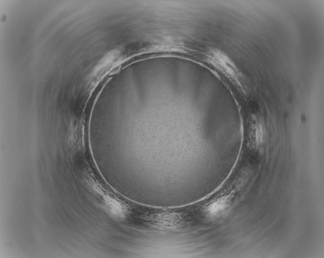 X0000059091268200510211558