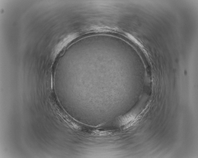 X0000059091269200510211558