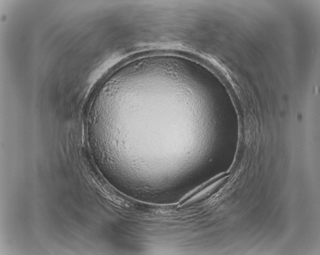 X0000059091271200510211558