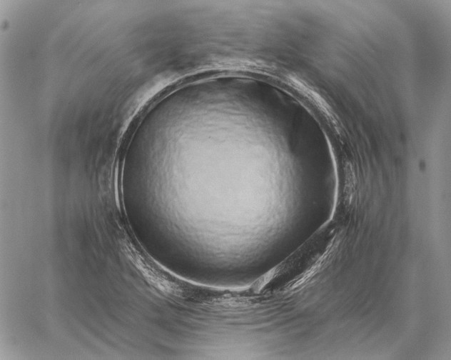 X0000059091272200510211558