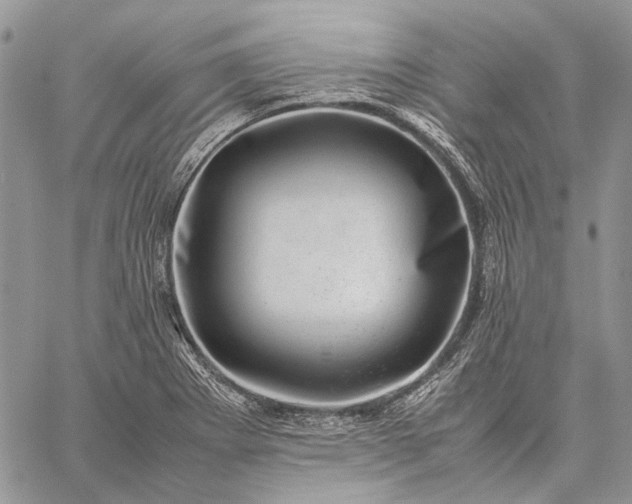 X0000059091273200510211558