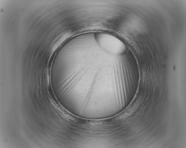 X0000059091274200510211558