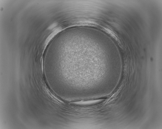 X0000059091275200510211558