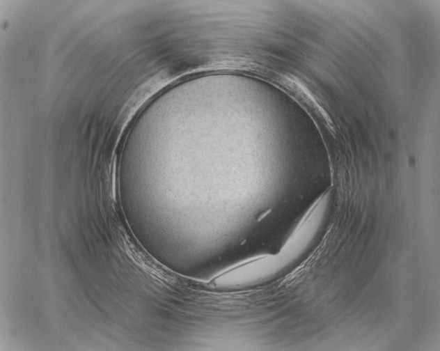 X0000059091276200510211558