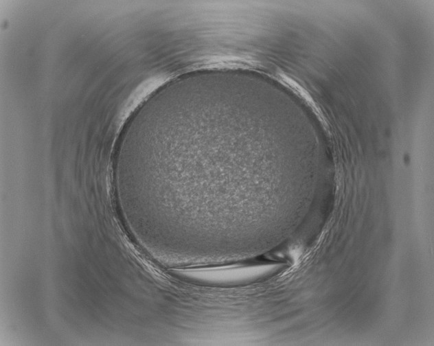 X0000059091277200510211558