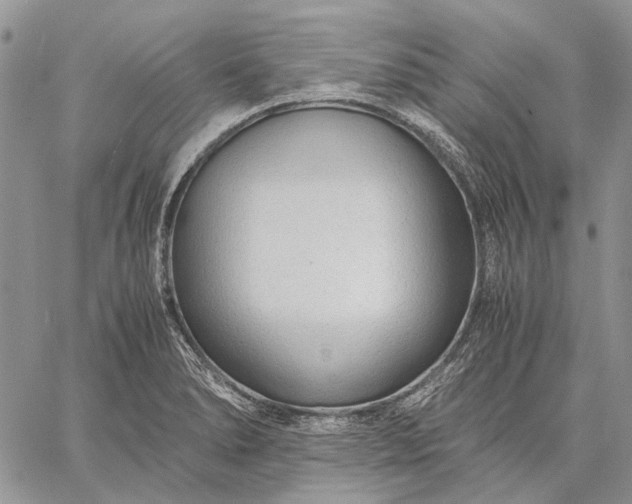 X0000059091278200510211558