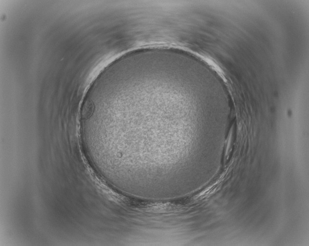 X0000059091279200510211558