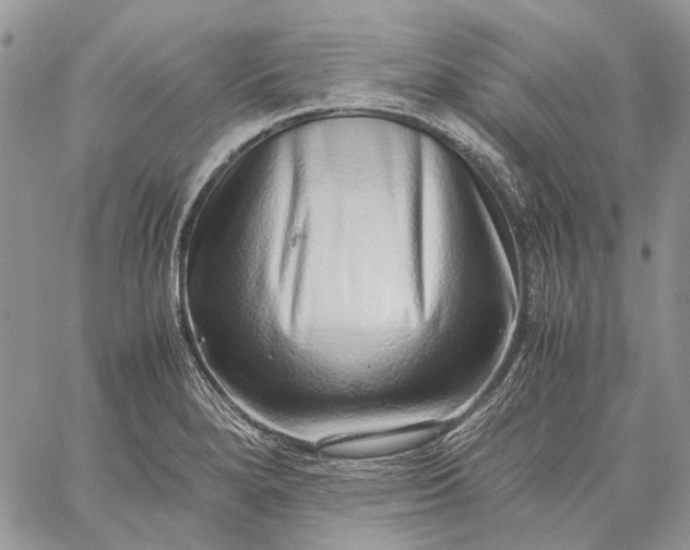 X0000059091280200510211558