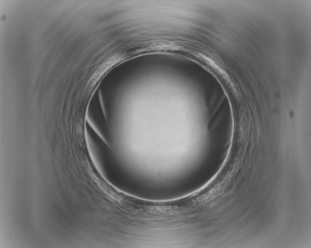 X0000059091281200510211558