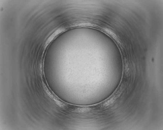 X0000059091282200510211558