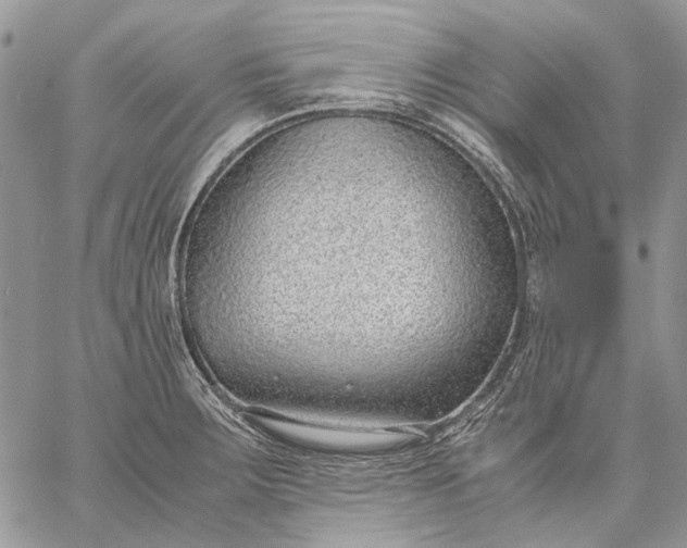 X0000059091283200510211558