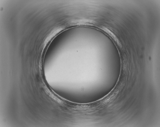 X0000059091285200510211558