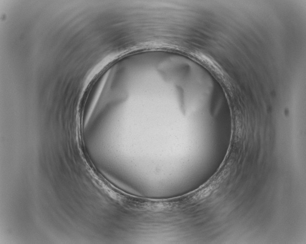 X0000059091286200510211558