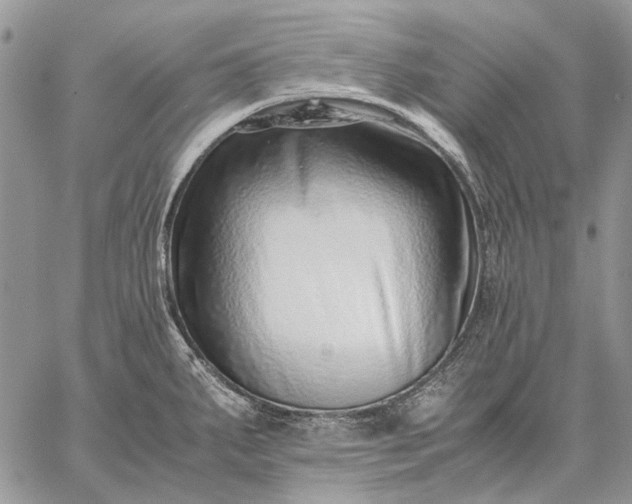 X0000059091287200510211558