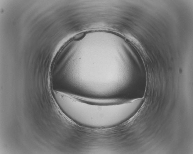 X0000059091288200510211557