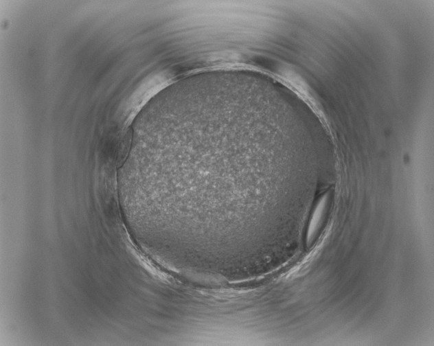 X0000059091289200510211557