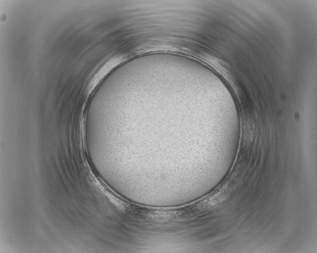 X0000059091290200510211557