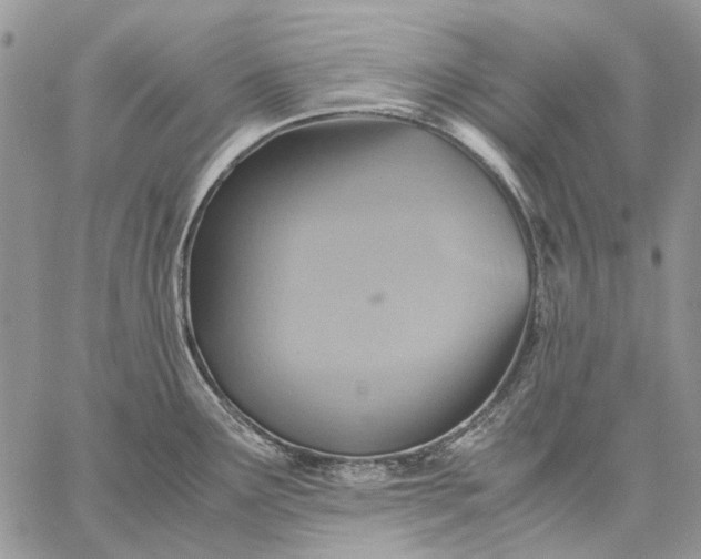 X0000059091291200510211557