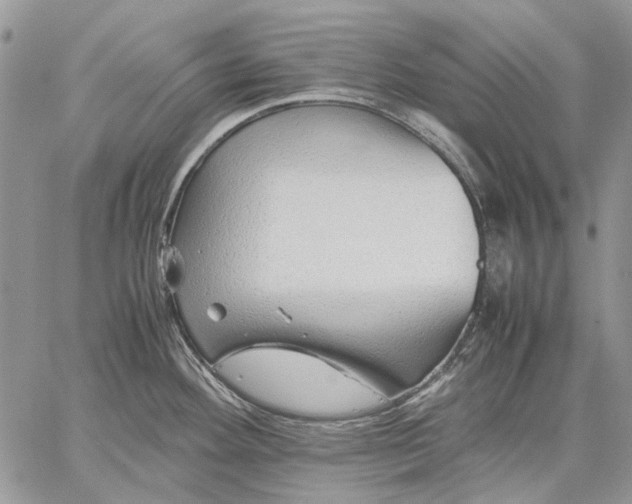 X0000059091292200510211557