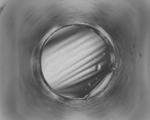 X0000059091293200510211557