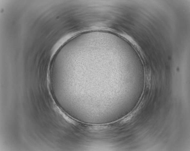 X0000059091294200510211557