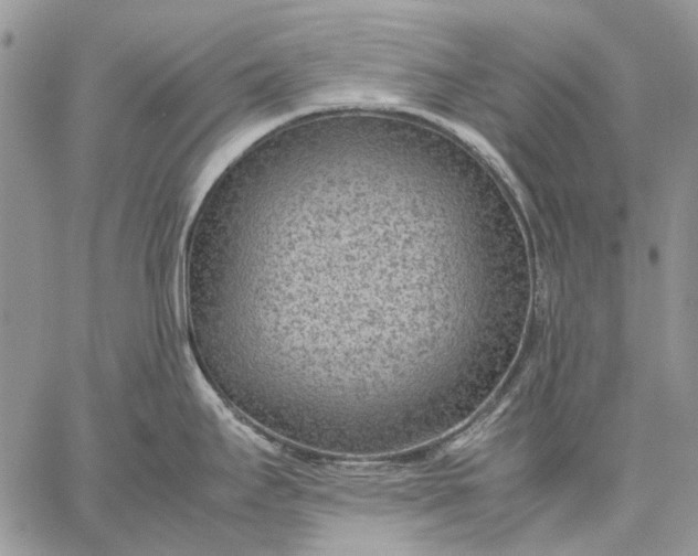 X0000059091295200510211557